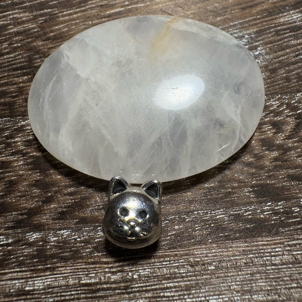 Cat-Shaped Silver Pandora Charm